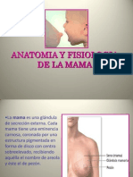 Anatomia y Fisiologia de La Mama