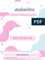 Granulocitos Polimorfonucleares