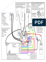 For Guitars Having Strat-Type Pickup Selector Switch