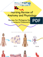 Anatomy Amp Physiology Slides