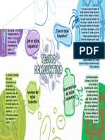 Mapa Mental de Tejido Conjuntivo. - 20240207 - 231622 - 0000