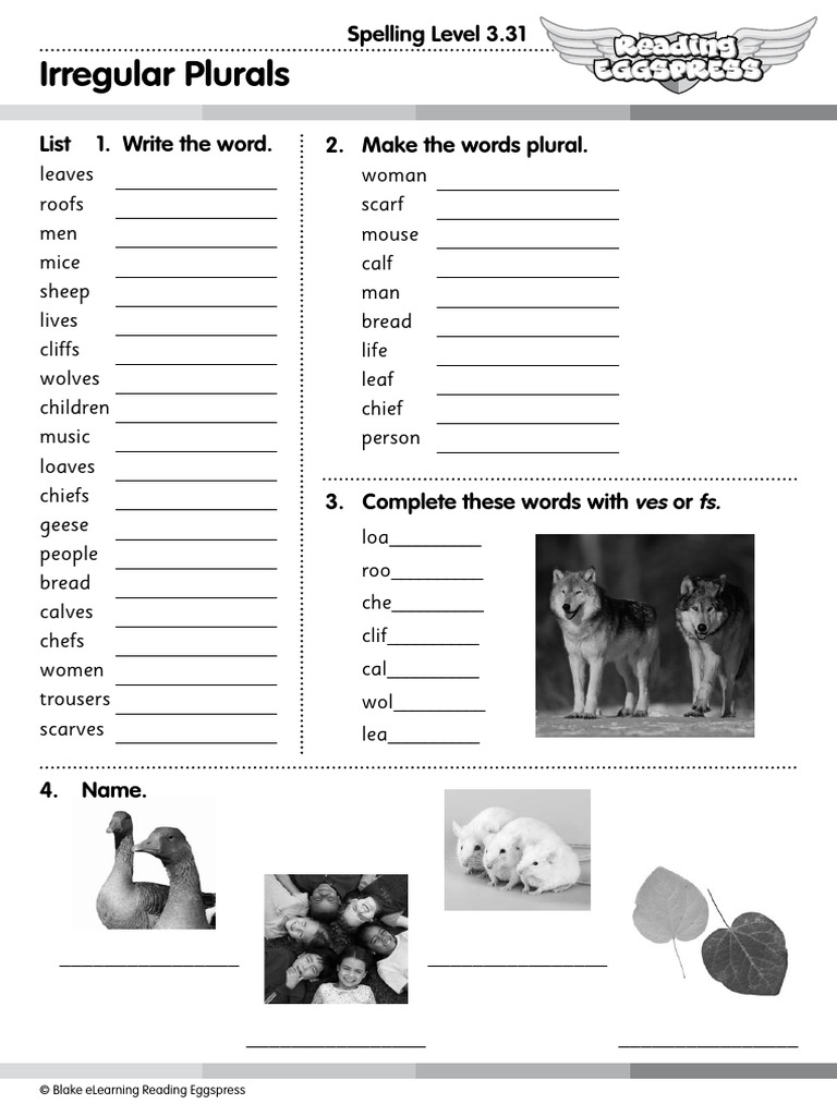 Activity_Sheet_rex_English_Skills_-_Spelling_Year_3_Lesson_31 | PDF