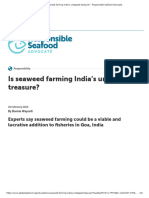 Is Seaweed Farming Indias Untapped Treasure