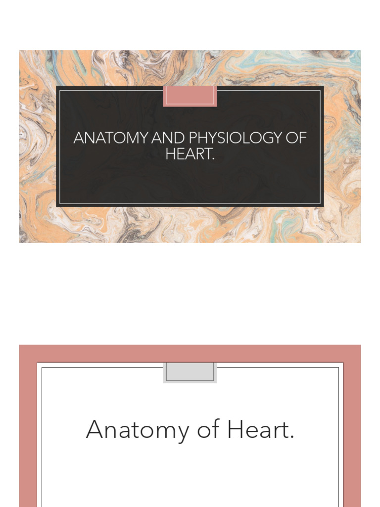 Anatomy Of Heart Pdf Heart Valve Coronary Circulation