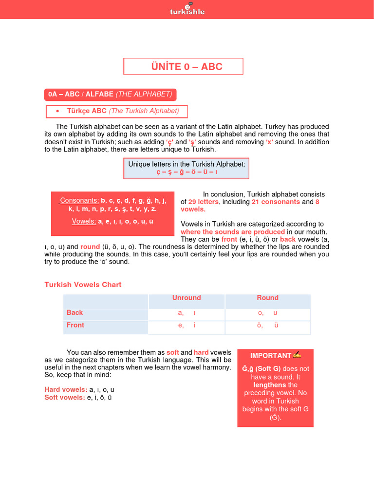 Turkish language intelligence overview
