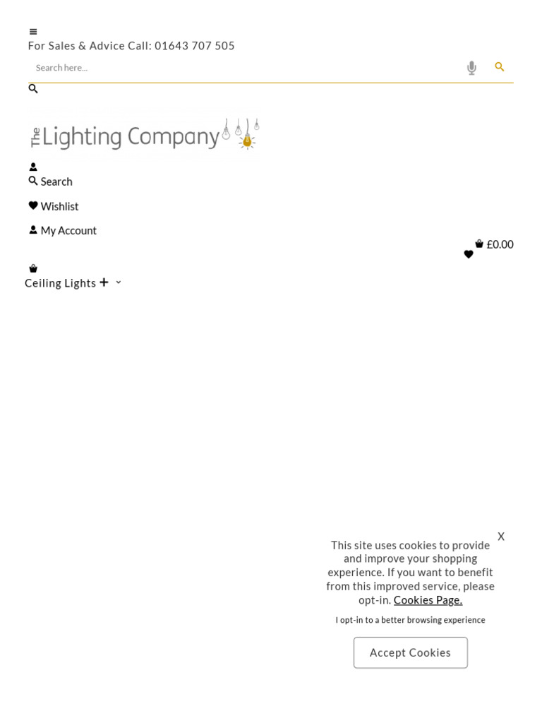 How Much Light Does My Room Need PDF