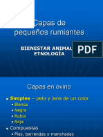 Tema 5.3. Capas Ovino y Caprino 23-24