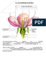 Ch2 Doc15Et16 MorphoFleurEtFécondation