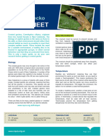 Crested Gecko Care Sheet (PDF 676KB)
