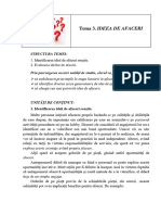 Tema 3. Ideea de Afaceri