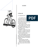 Bicicleta de Montaña Manual Práctico - (2 Parte - )