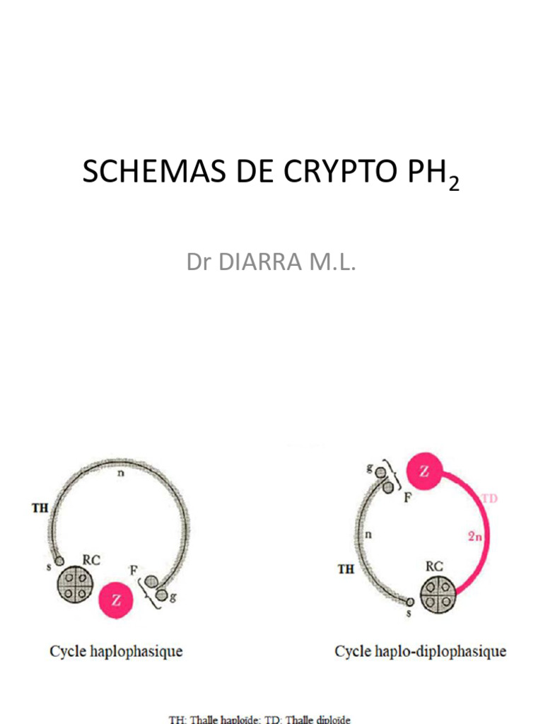 Schémas de Cryptogamie et Champignons | PDF