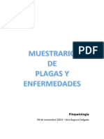 MUESTRARIO DE PLAGAS Y ENFERMEDADES - v2