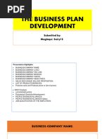 The Business Plan Development