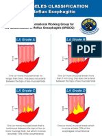 LA Classification Esofagitis