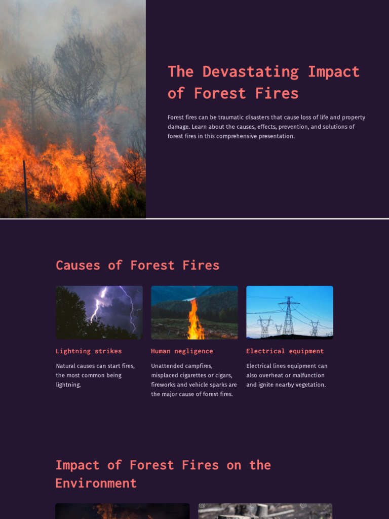 Rising Fire | PDF