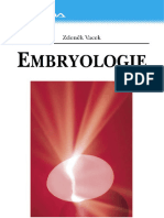 Embryologie Ukazka