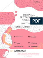 Pregnant Woman Care PowerPoint Templates