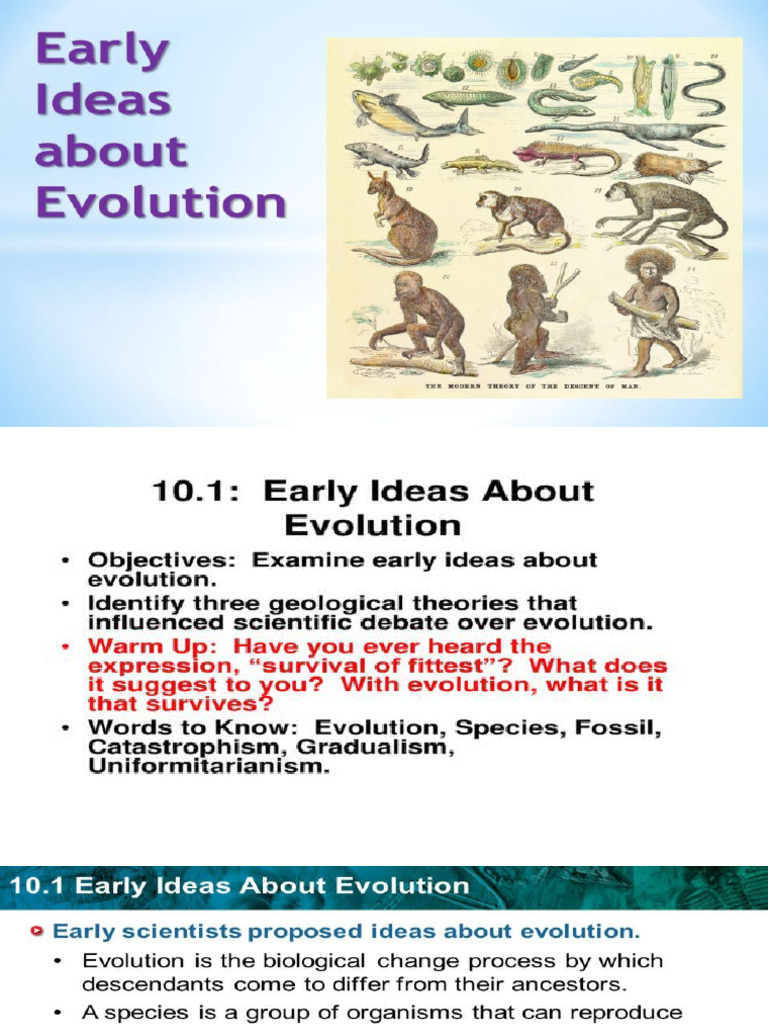 Evolution and Natural Selection Insights | PDF | Natural Selection ...