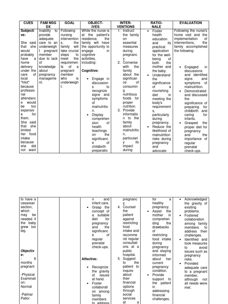 NCP CHNN Case Pres | PDF | Pregnancy | Malnutrition