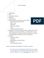 Estructura Del Informe, 23 de Noviembre Del 2020