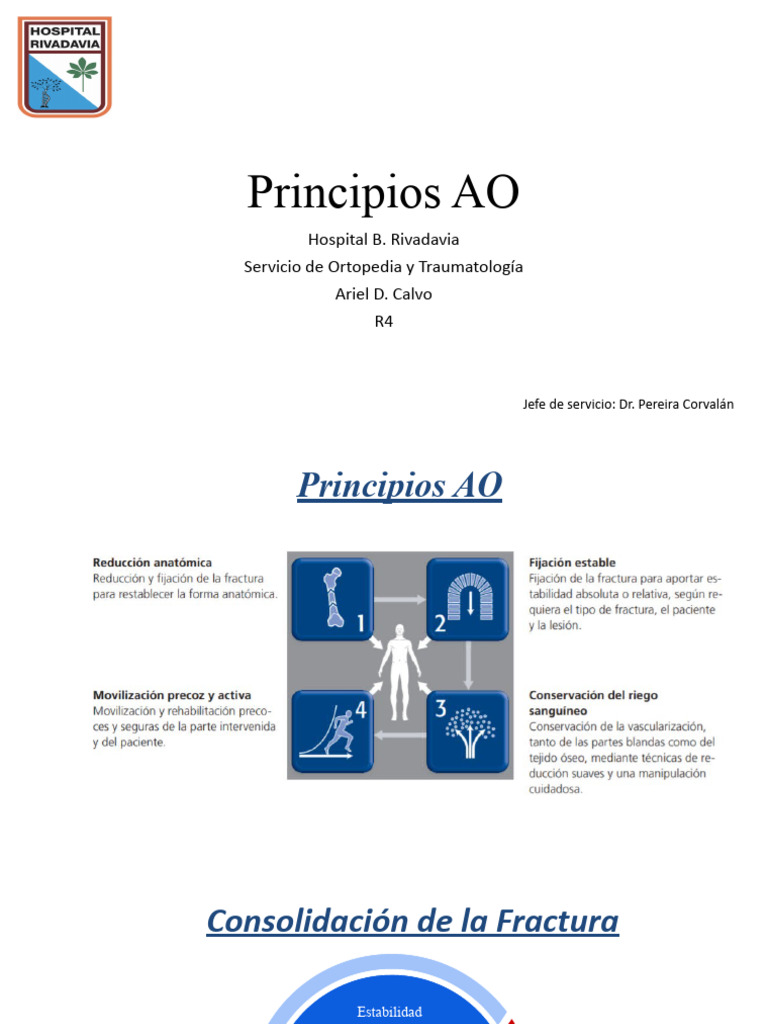 Principios de Osteosíntesis AO | PDF | Hueso | Tornillo