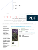 Arbori Foiosi ACER RUBRUM 10 - 12 Circumf Trunchi