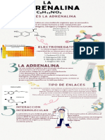 La Adrenalina - 20230929 - 014710 - 0000