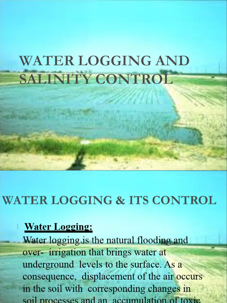 Understanding Water Logging Causes | PDF | Soil | Water