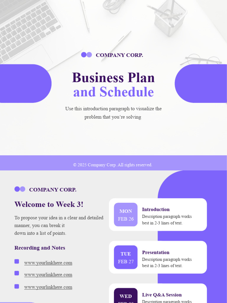 Business Plan and Schedule Template | PDF | Software | Computing