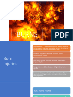 BURNS1 With Annotations