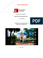 Programa de Gobierno Bolivar Municipio Surdocx