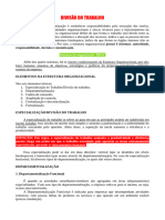 Administração - Divisão Do Trabalho: Resumo Por Rodrigo Santos