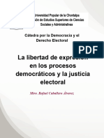 La Libertad de Expresion