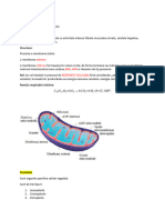 06.Mitocondriile+Plastidele-Agarbicean Ovidiu