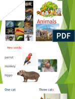 Animals