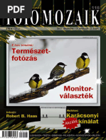 Fotómozaik December