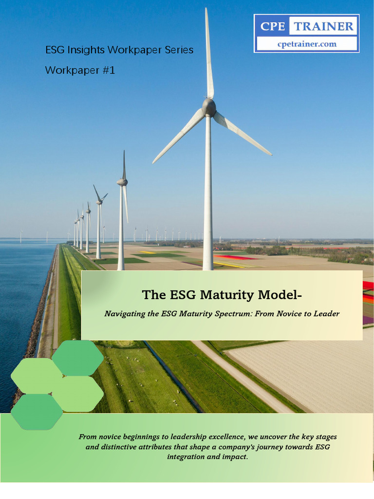 Esg Maturity Model Post1 Pdf Leadership Governance