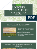 Regiones Naturales en Argentina