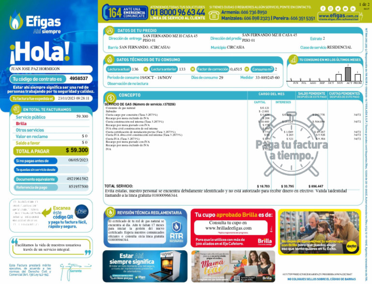 Factura y Servicios de Gas Natural | PDF