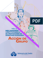 MECANISMOS CONSTITUCIONALES DE PROTECCIÓN DE DDHH 6 -Acción-de-grupo