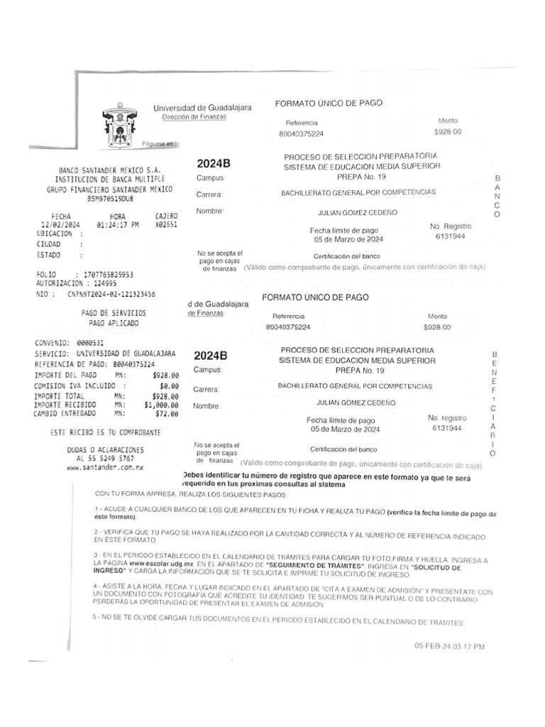 formato-nico-de-pago-1-pdf