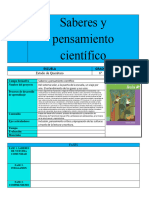 Formato Planeación Saberes y Pensamiento Científico