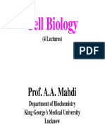 Lecture Cell Biology