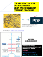 AMINOKISELINE KAO PRETEČE - 2021 - Za Lms