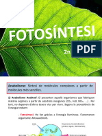 Tema 7 Anabolisme Autotrof Fotosintesi