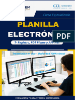 Brochure Plla. Electronica