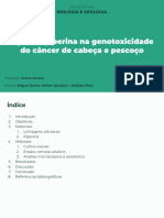 Ação Da Piperina Na Genotoxicidade Do Câncer de Cabeça e Pescoço