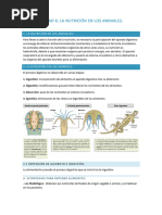 UNIDAD 6 La Nutrición en Los Animales