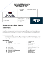 Guía Histología Tubo Digestivo 2024-1